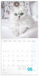 Poznámkový kalendář Koťata 2025, 30 30 cm