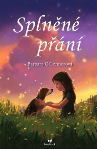 Splněné přání - Barbara O'Connor - e-kniha