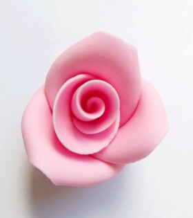 Dortisimo Cukrová růže střední růžová (25 ks)