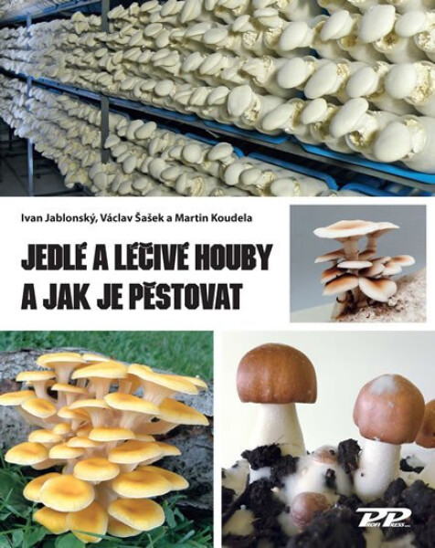 Jedlé léčivé houby jak je pěstovat