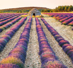 Nástěnný kalendář 2027 vázankový Helma Provence