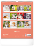 Nástěnný kalendář Kočky 2025, 30 34 cm