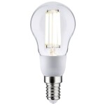 Paulmann 29131 LED Energetická třída (EEK2021) A (A - G) E14 2.5 W neutrální bílá (Ø x v) 45 mm x 100 mm 1 ks