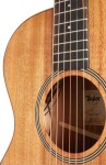 Taylor JCSM-6 Jacob Collier