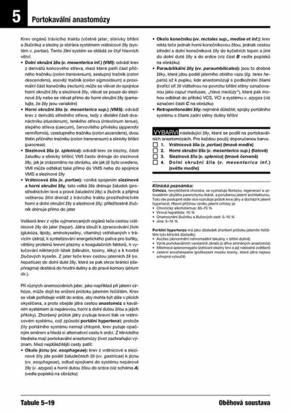 Netterův vybarvovací anatomický atlas - Frank H. Netter