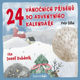 24 vánočních příběhů do adventního kalendáře - Petr Šilha - audiokniha