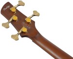 Ibanez SR5500 Mocha