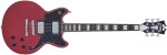 D'Angelico Double Cutaway Solid Body Oxblood