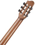 Godin Arena Pro Ltd CW Onyx Black