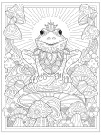 Creative Haven Enchanted Coloring Book, antistresové omalovánky, Marjorie Sarnat