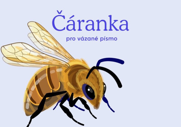 Český jazyk - Čáranka pro vázané písmo - Anna Rosová