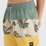 Plavecké šortky O'Neill Mix&Match Cali Block 13'' Jr 92800613806