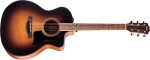 Taylor 114ce Special Edition Dark Tobacco