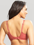 Panache Bra rose 65G