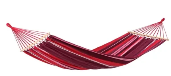 Amazonas Samba fuego