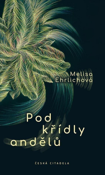 Pod křídly andělů Melisa Ehrlichová