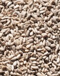 Vilgain Slunečnicová semínka loupaná, nepražená BIO – 500 g