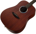 Tanglewood TE5BL