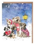 Přání s adventním kalendářem Wrendale Designs O Holy Night - Pejsci
