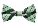 Britain zelený károvaný motýlek pro psa | 20 - 44 cm Barva: Zelená