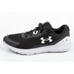 Dámské oblečení Under Armour 3024989-001