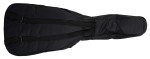Tanglewood EM E2