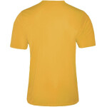 Pánské fotbalové tričko Formation Z01997_20220201112217 Zina
