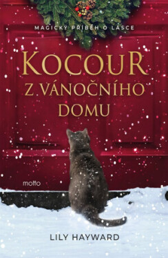 Kocour z vánočního domu - Lili Hayward