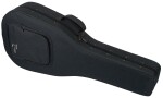 Tanglewood TW15 R