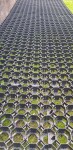 Rojaplast Zatravňovací dlaždice EKOGRID - 50x50x4 cm - černá