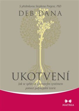 Ukotvení