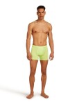 Pánské merino boxerky ICEBREAKER Mens 125 Cool-Lite Anatomica Boxers, Peridot velikost: L