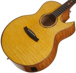 Tanglewood TWX6CE SMF