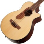 Ibanez AEGB30E Natural