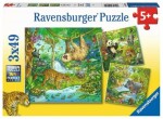 Ravensburger Zvířata v džungli