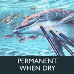 Derwent Derwent, 2301843, Inktense, inkoustové akvarelové pastelky, 72 ks