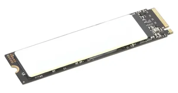 Lenovo ThinkPad Performance 1TB (4XB1M86955) / SSD / M.2 / PCIe 4.0 / Interní (4XB1M86955)