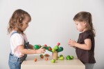 Plan Toys PlanToys Balancující kaktus