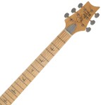 PRS SE Silver Sky MN Stone Blue