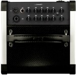 GR Guitar BF Acoustic 5