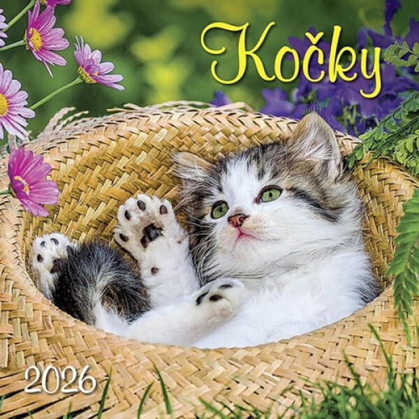 Kalendář 2026 Kočky, nástěnný, 33 x 33 cm
