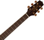 Takamine P4DC
