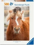 Ravensburger 120019015 Poník a koťátko 500 dílků