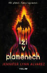 Lži v plamenech (poškozená) - Jennifer Lynn Alvarez