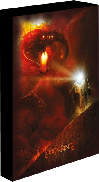 Obraz LED svítící Pán Prstenu - Balrog, 30x40 cm - EPEE
