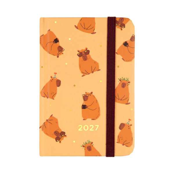 Mini diář 2027 - Capybara - Albi
