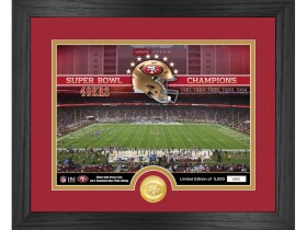 Highland Mint Obraz San Francisco 49ers NFL Team Stadium Photo Mint