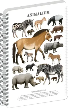NOTIQUE Animalium – Lichokopytníci / Spirálový blok / A4 / čtverečkovaný