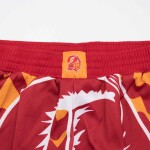 Mitchell & Ness Pánské kraťasy Tampa Bay Buccaneers NFL Jumbotron 2.0 Shorts Velikost: S