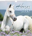 Nástěnný kalendář 2025 Horses